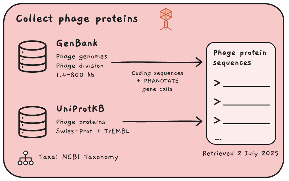 Collect phage proteins from GenBank and UniProtKB